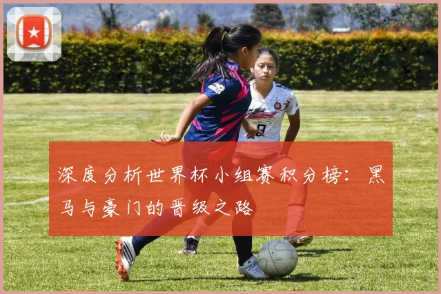 深度分析世界杯小组赛积分榜：黑马与豪门的晋级之路