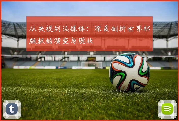 从央视到流媒体：深度剖析世界杯版权的演变与现状