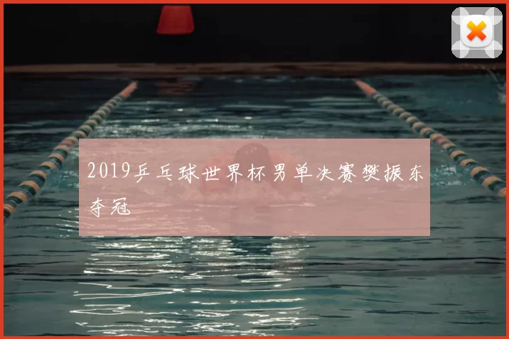 2019乒乓球世界杯男单决赛樊振东夺冠