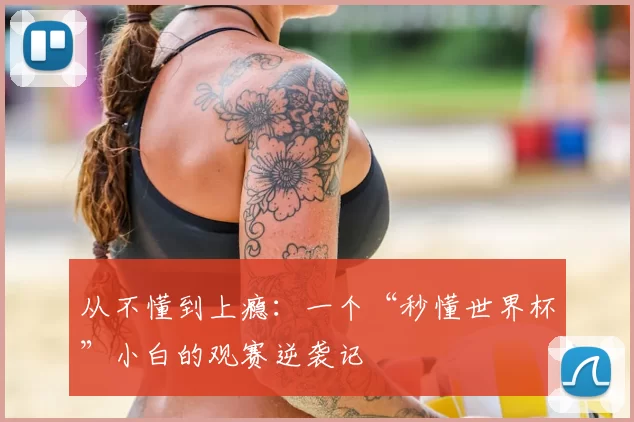 从不懂到上瘾:一个“秒懂世界杯”小白的观赛逆袭记