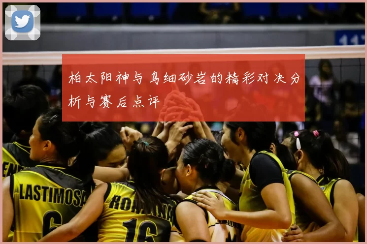 柏太阳神与鸟细砂岩的精彩对决分析与赛后点评