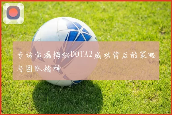 专访黄磊揭秘DOTA2成功背后的策略与团队精神