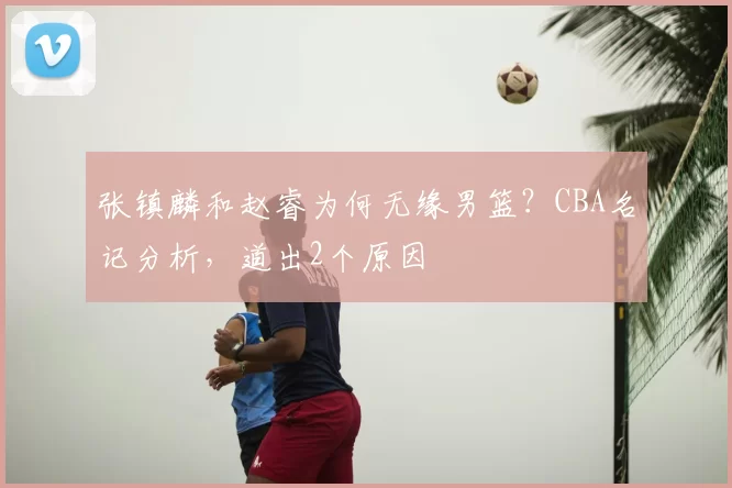 张镇麟和赵睿为何无缘男篮？CBA名记分析，道出2个原因