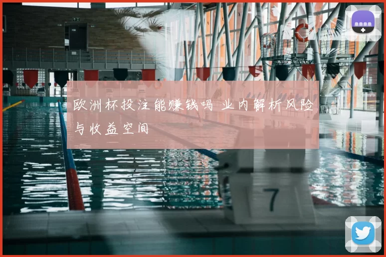 欧洲杯投注能赚钱吗 业内解析风险与收益空间