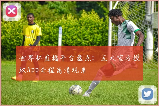 世界杯直播平台盘点：五大官方授权App全程高清观看