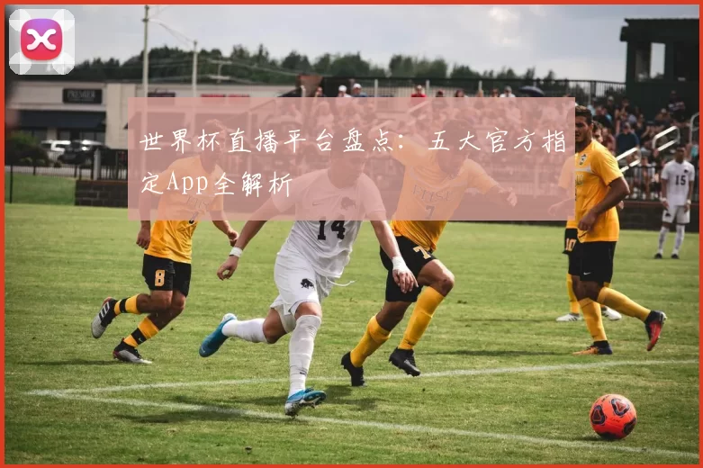 世界杯直播平台盘点：五大官方指定App全解析