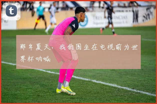 那年夏天,我们围坐在电视前为世界杯呐喊