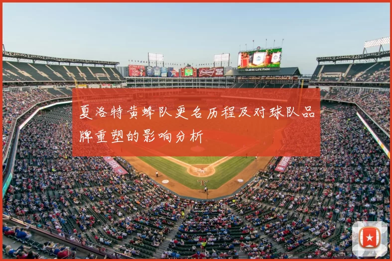 夏洛特黄蜂队更名历程及对球队品牌重塑的影响分析