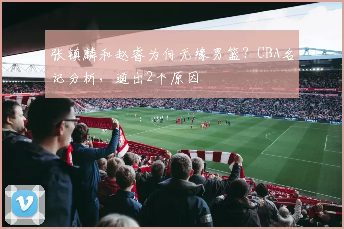 张镇麟和赵睿为何无缘男篮？CBA名记分析，道出2个原因