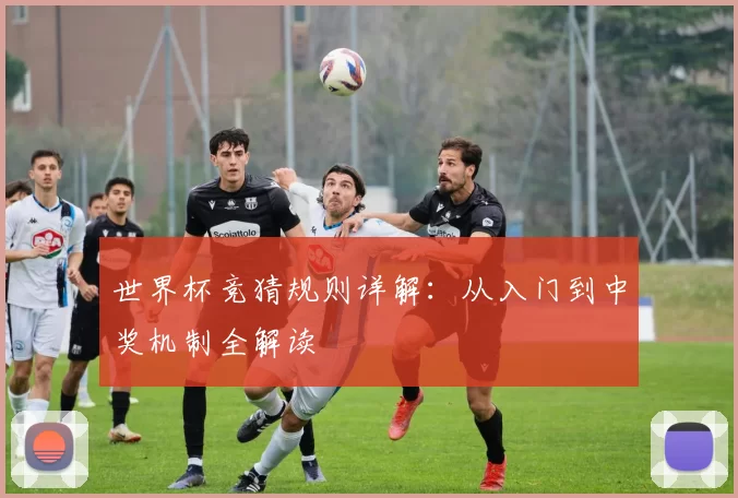 世界杯竞猜规则详解:从入门到中奖机制全解读