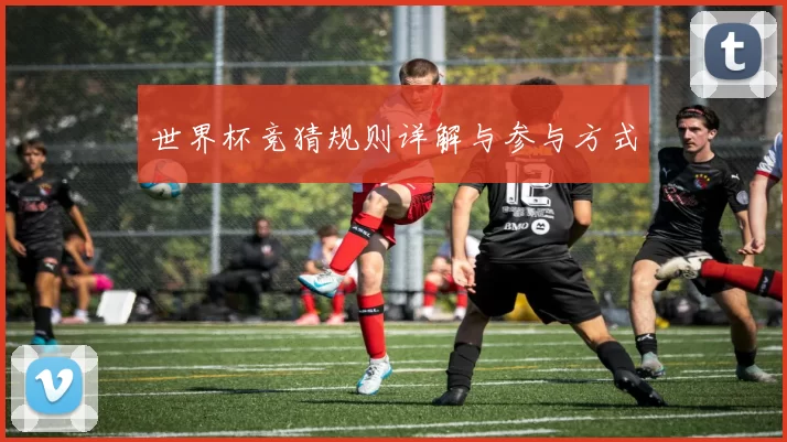 世界杯竞猜规则详解与参与方式