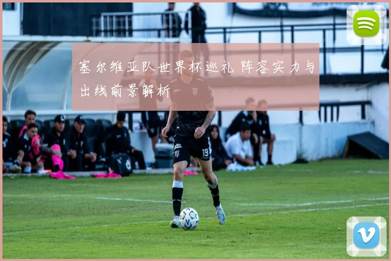 塞尔维亚队世界杯巡礼 阵容实力与出线前景解析