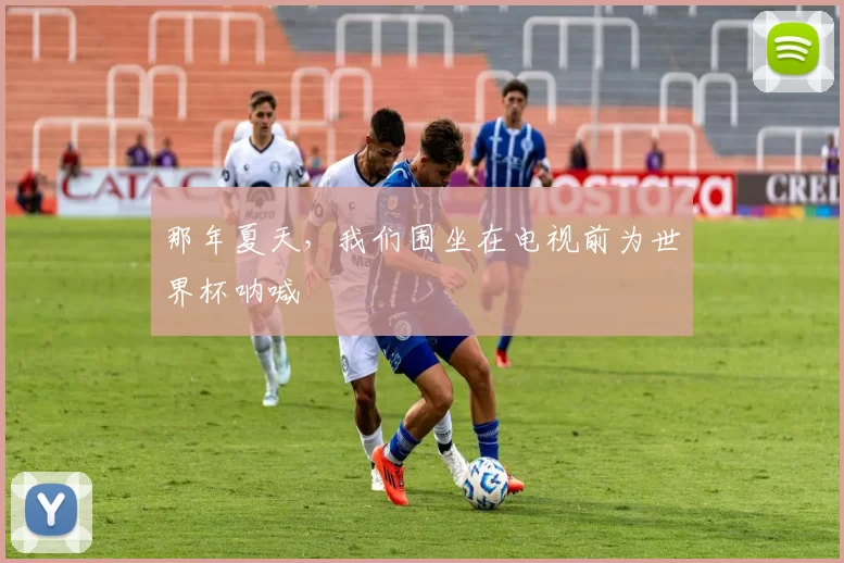 那年夏天,我们围坐在电视前为世界杯呐喊