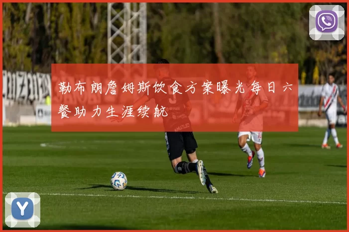 勒布朗詹姆斯饮食方案曝光每日六餐助力生涯续航