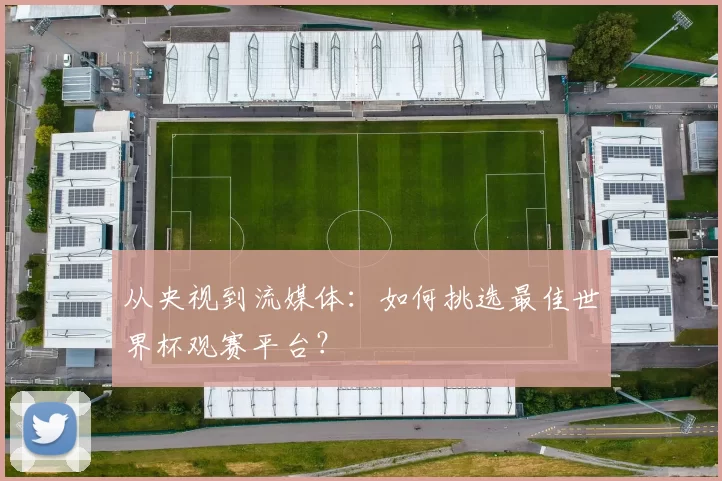 从央视到流媒体:如何挑选最佳世界杯观赛平台?
