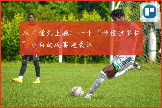 从不懂到上瘾:一个“秒懂世界杯”小白的观赛逆袭记