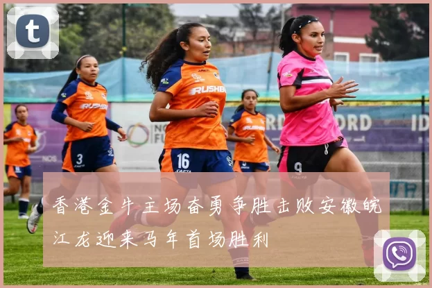 香港金牛主场奋勇争胜击败安徽皖江龙迎来马年首场胜利