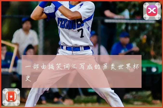 一部由搞笑词汇写成的另类世界杯史